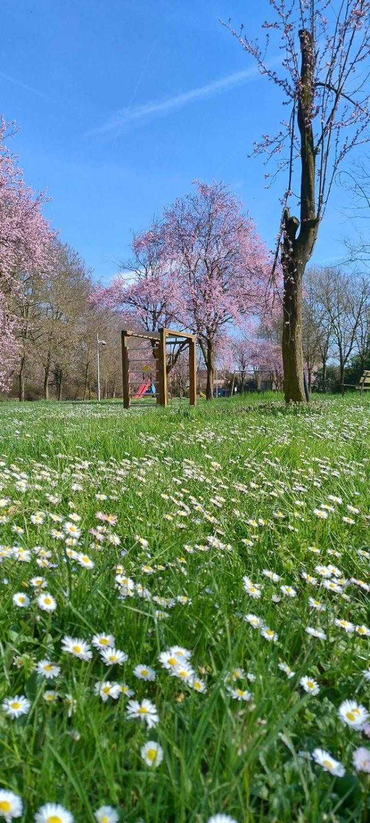 Shanti Ca' Casa Indipendente Con Giardino Lacchiarella Экстерьер фото