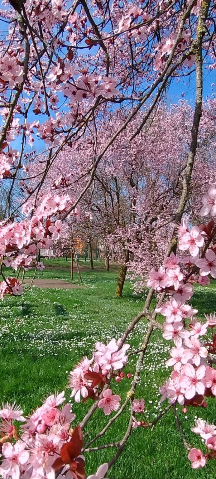 Shanti Ca' Casa Indipendente Con Giardino Lacchiarella Экстерьер фото